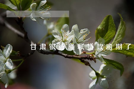 甘肃银行通联贷款逾期了