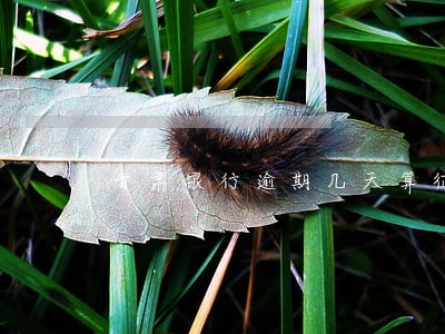 甘肃银行逾期几天算征信
