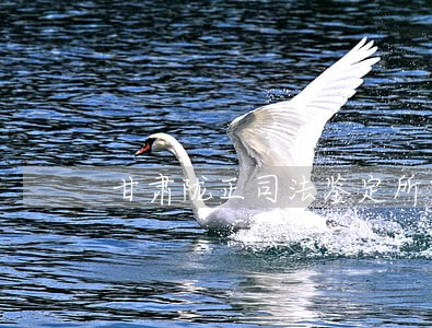甘肃陇正司法鉴定所电话