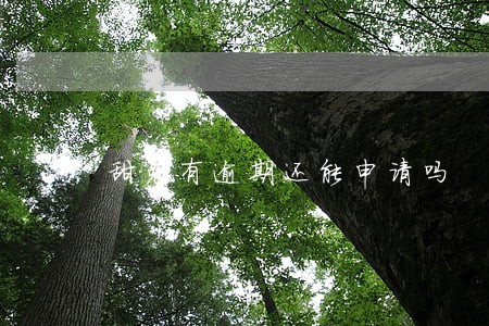 甜兔有逾期还能申请吗 甜兔有逾期还能申请吗