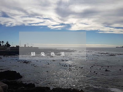 甜兔违法 甜兔违法