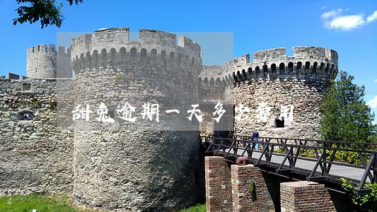 甜兔逾期一天多少费用