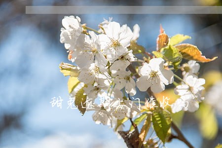 甜兔逾期上门催收吗 甜兔逾期上门催收吗
