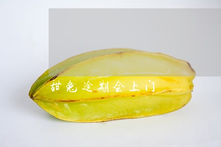 甜兔逾期会上门 甜兔逾期会上门