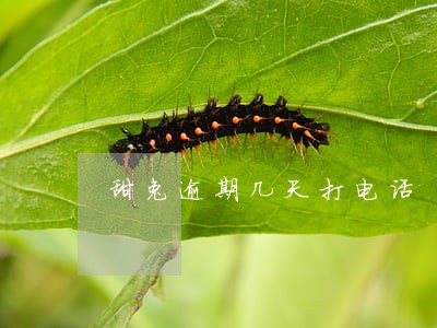 甜兔逾期几天打电话