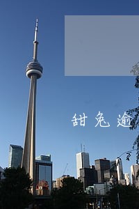 甜兔逾期几点催收 甜兔逾期几点催收