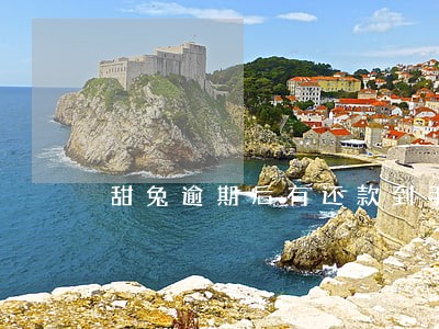 甜兔逾期后有还款到手本金的吗 甜兔逾期后有还款到手本金的吗