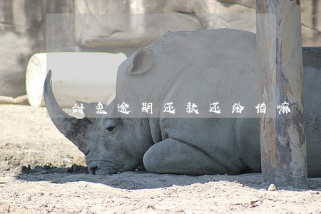 甜兔逾期还款还给借嘛 甜兔逾期还款还给借嘛