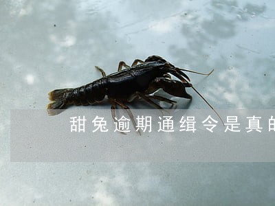 甜兔逾期通缉令是真的吗 甜兔逾期通缉令是真的吗