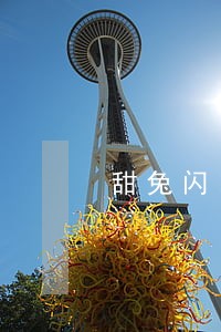 甜兔闪电虎雏鹰逾期 甜兔闪电虎雏鹰逾期