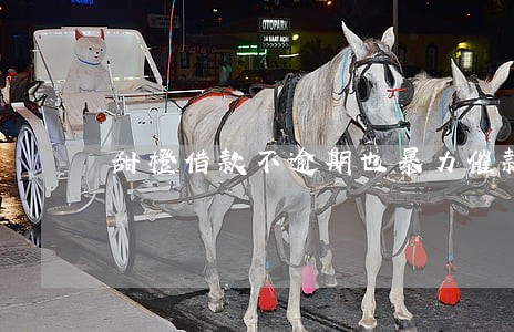 甜橙借款不逾期也暴力催款吗 甜橙借款不逾期也暴力催款吗