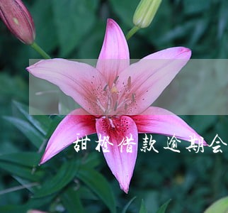 甜橙借款逾期会爆通讯录吗 甜橙借款逾期会爆通讯录吗