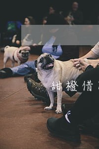 甜橙借款逾期可以只还本金不 甜橙借款逾期可以只还本金不