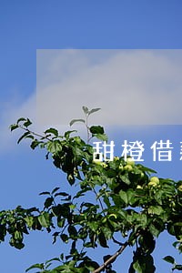 甜橙借款逾期四天全额还款 甜橙借款逾期四天全额还款