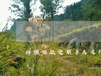 甜橙借款逾期多久冻结 甜橙借款逾期多久冻结