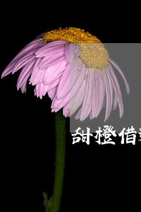 甜橙借逾期半个月 甜橙借逾期半个月