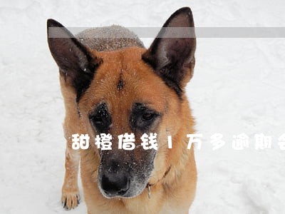 甜橙借钱1万多逾期会怎样 甜橙借钱1万多逾期会怎样
