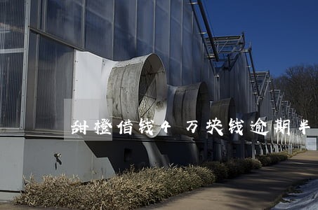 甜橙借钱4万块钱逾期半年