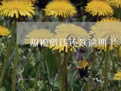 甜橙借钱还款逾期了