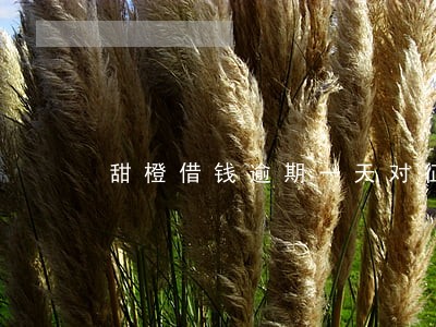 甜橙借钱逾期一天对征信有影响吗 甜橙借钱逾期一天对征信有影响吗