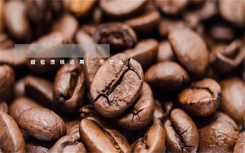 甜橙借钱逾期一天怎么办 甜橙借钱逾期一天怎么办