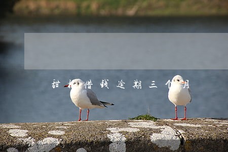 甜橙借钱逾期三个月 甜橙借钱逾期三个月