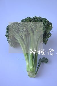 甜橙借钱逾期三天会上征信吗 甜橙借钱逾期三天会上征信吗