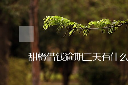 甜橙借钱逾期三天有什么后果 甜橙借钱逾期三天有什么后果