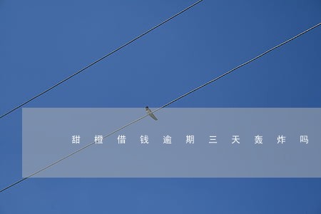甜橙借钱逾期三天轰炸吗 甜橙借钱逾期三天轰炸吗