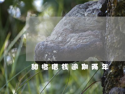 甜橙借钱逾期两年 甜橙借钱逾期两年