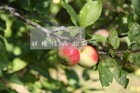 甜橙借钱逾期减免 甜橙借钱逾期减免