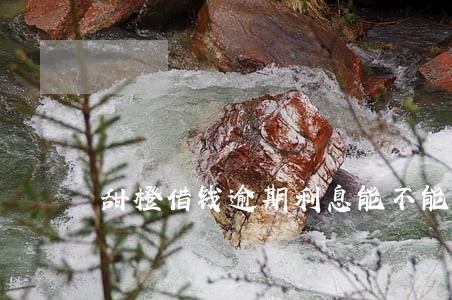 甜橙借钱逾期利息能不能协商 甜橙借钱逾期利息能不能协商