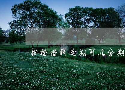甜橙借钱逾期可以分期吗 甜橙借钱逾期可以分期吗