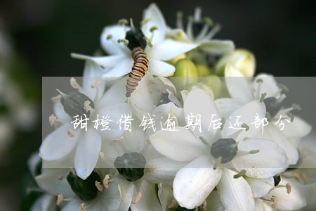 甜橙借钱逾期后还部分 甜橙借钱逾期后还部分