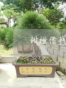 甜橙借钱逾期和翼支付有关吗 甜橙借钱逾期和翼支付有关吗