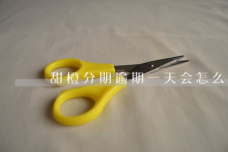 甜橙分期逾期一天会怎么样 甜橙分期逾期一天会怎么样