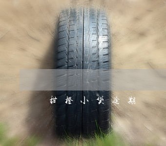 甜橙小贷逾期 甜橙小贷逾期