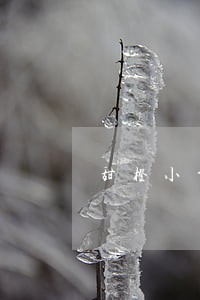 甜橙小贷逾期了40天