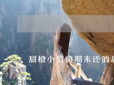 甜橙小贷逾期未还的后果 甜橙小贷逾期未还的后果