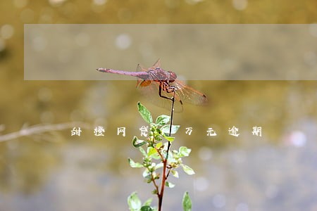 甜橙网贷1万元逾期 甜橙网贷1万元逾期