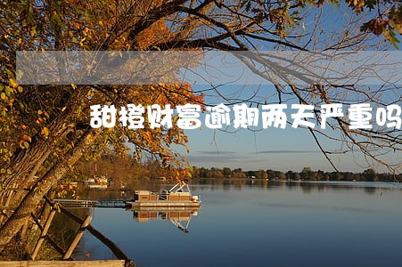 甜橙财富逾期两天严重吗 甜橙财富逾期两天严重吗