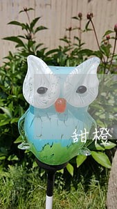 甜橙财富逾期怎么协商 甜橙财富逾期怎么协商