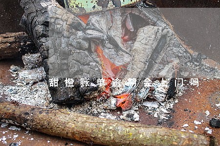 甜橙账单逾期会上门吗 甜橙账单逾期会上门吗