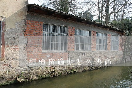 甜橙贷逾期怎么协商 甜橙贷逾期怎么协商