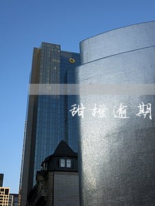 甜橙逾期一年 甜橙逾期一年