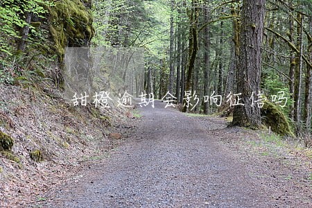 甜橙逾期会影响征信吗 甜橙逾期会影响征信吗
