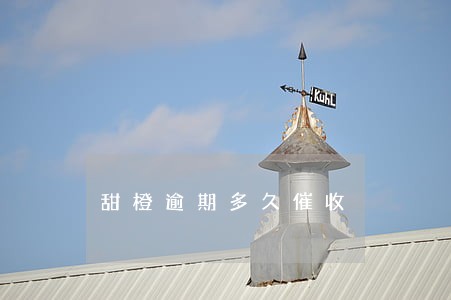 甜橙逾期多久催收 甜橙逾期多久催收