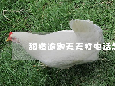 甜橙逾期天天打电话怎么投诉 甜橙逾期天天打电话怎么投诉