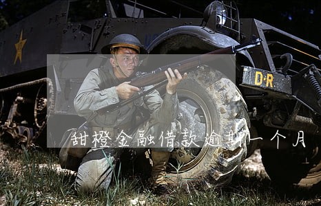 甜橙金融借款逾期一个月 甜橙金融借款逾期一个月