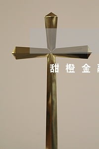 甜橙金融逾期一年 甜橙金融逾期一年